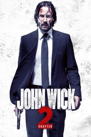 John Wick: Chapter 2