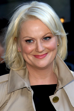 Amy Poehler tüm dizileri dizigom'da