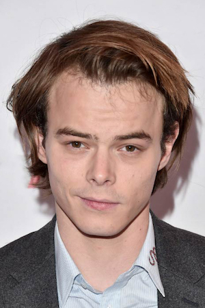 Charlie Heaton tüm dizileri dizigom'da