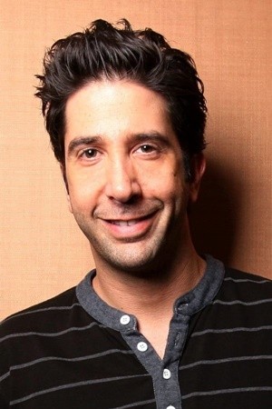 David Schwimmer tüm dizileri dizigom'da