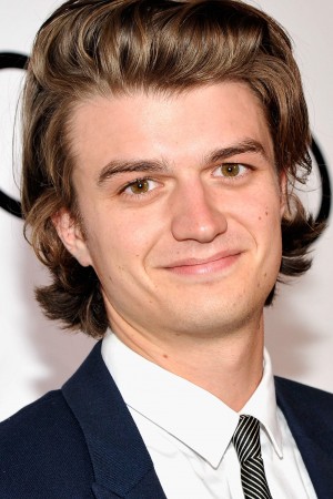 Joe Keery tüm dizileri dizigom'da