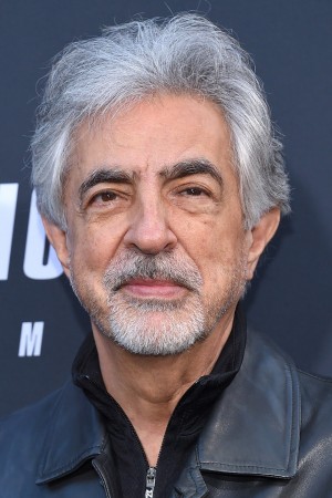 Joe Mantegna tüm dizileri dizigom'da