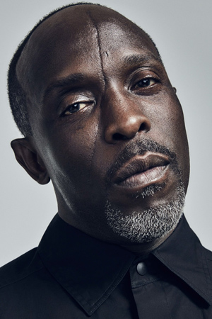 Michael Kenneth Williams tüm dizileri dizigom'da