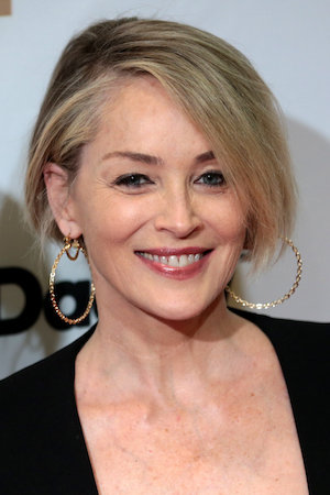 Sharon Stone tüm dizileri dizigom'da