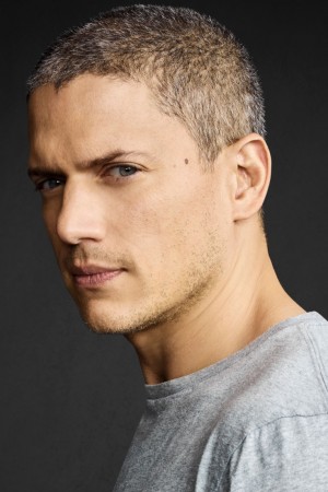 Wentworth Miller tüm dizileri dizigom'da